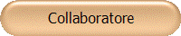 Collaboratore