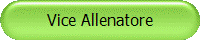 Vice Allenatore