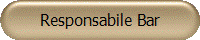 Responsabile Bar